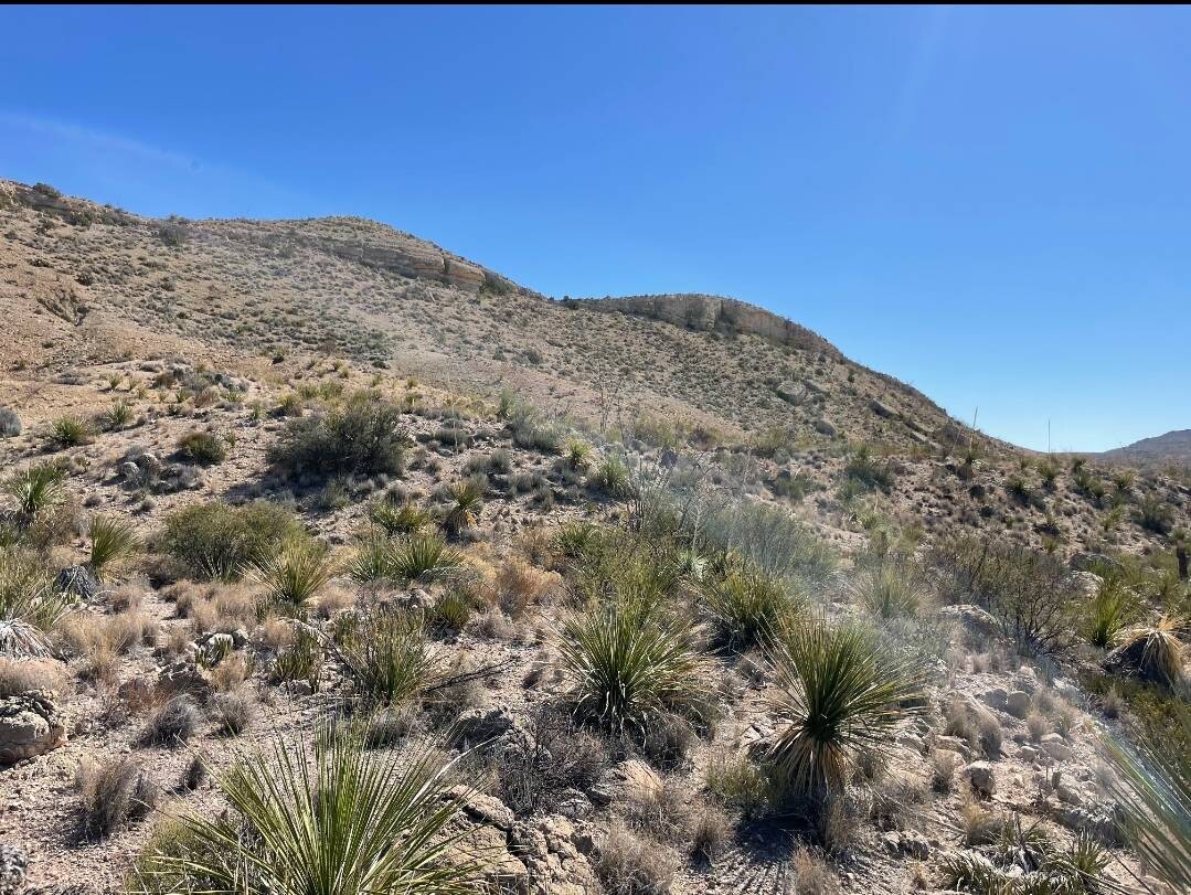 Land for Sale in Brewster County, TX (27 of 66)