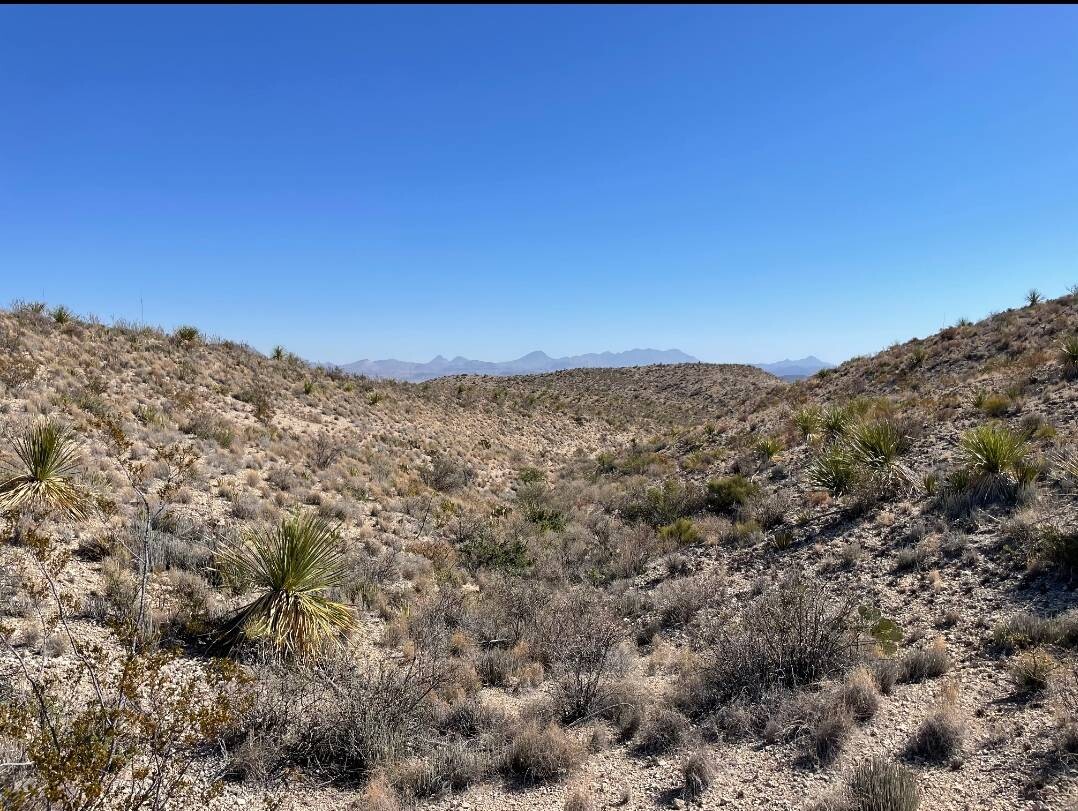 Land for Sale in Brewster County, TX (50 of 66)