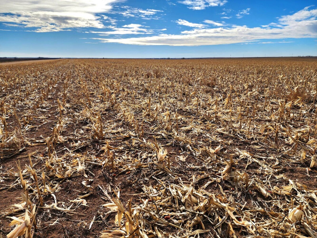 Land for Sale in Pawnee County, KS (1 of 55)