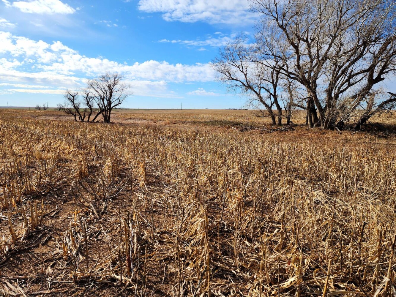 Land for Sale in Pawnee County, KS (3 of 55)
