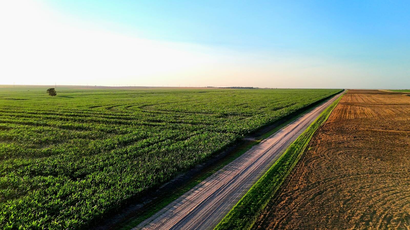 Land for Sale in Pawnee County, KS (4 of 55)