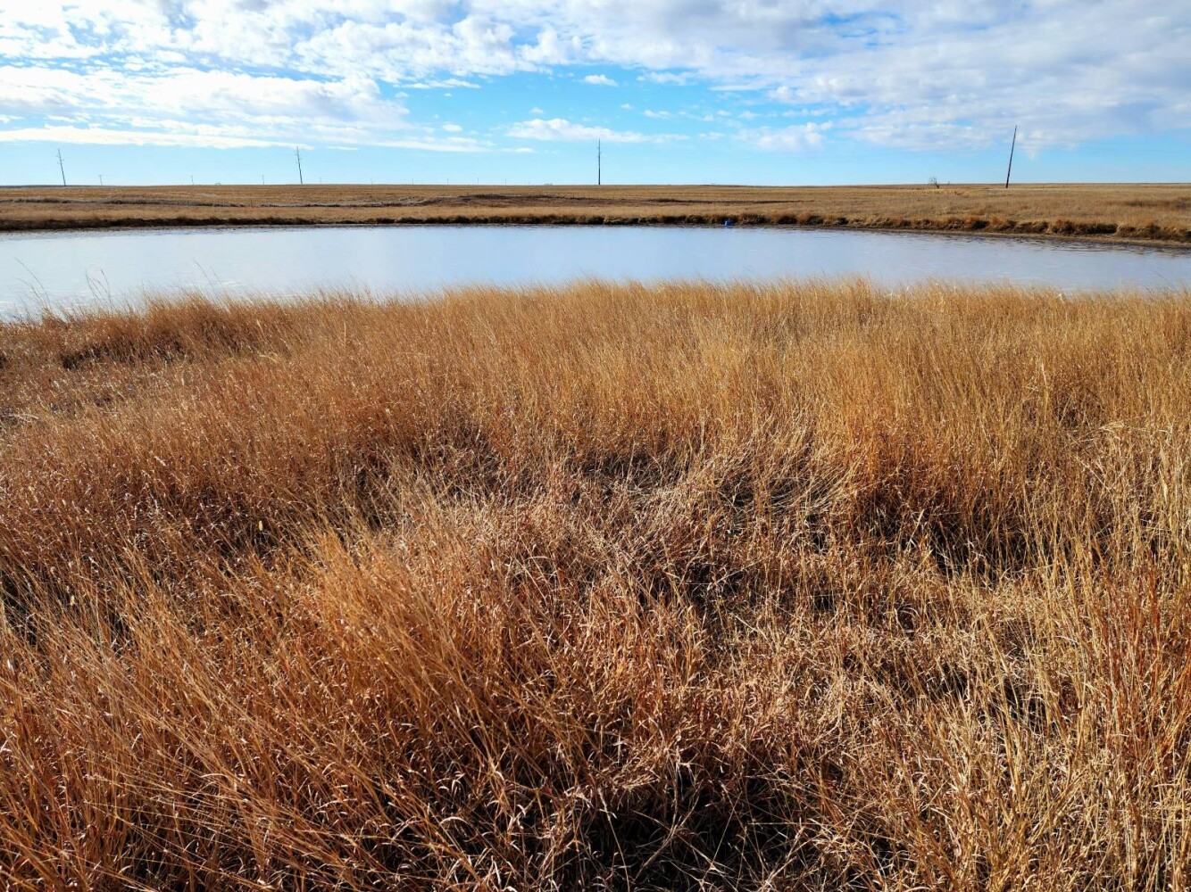 Land for Sale in Pawnee County, KS (5 of 55)