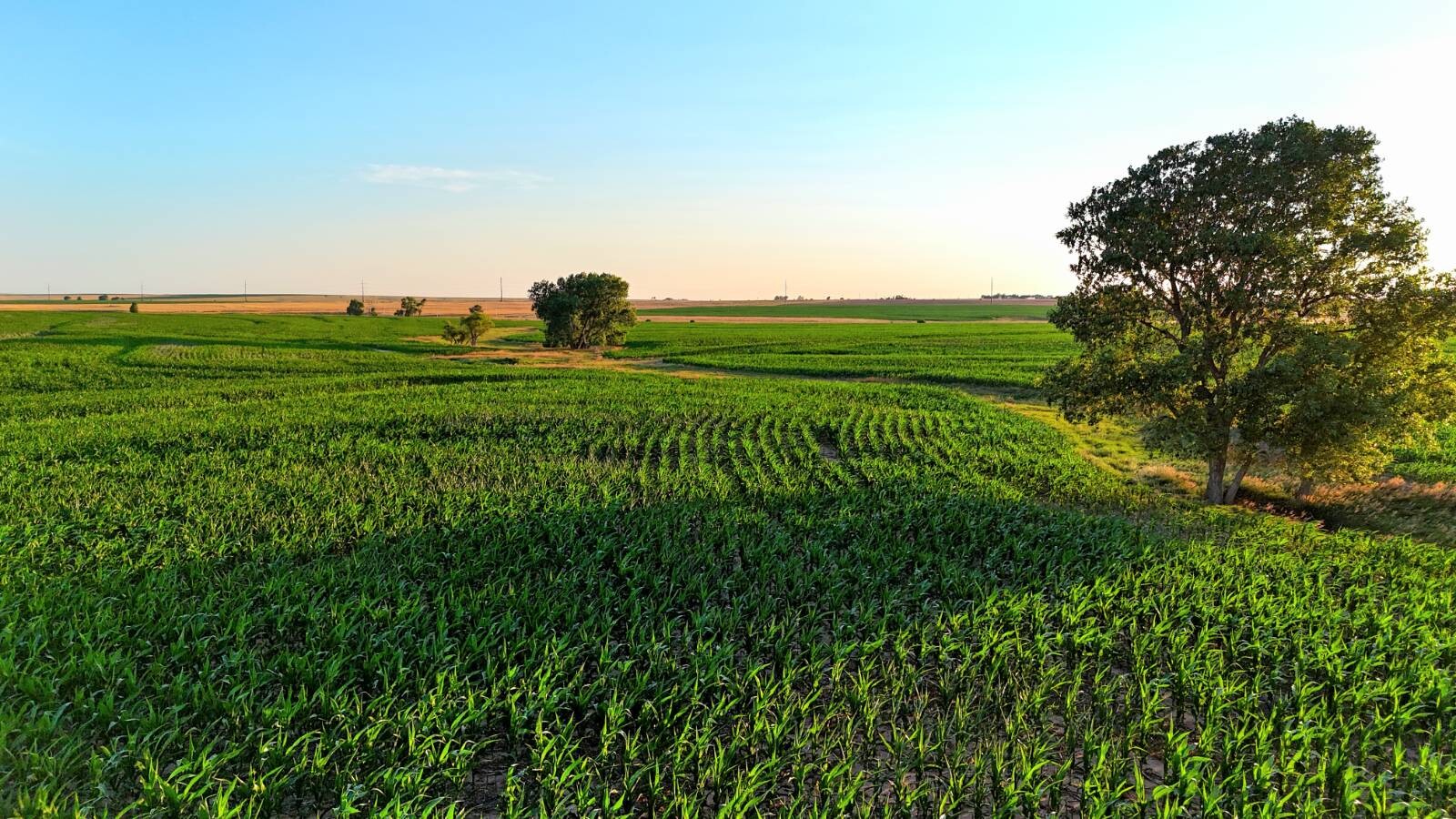 Land for Sale in Pawnee County, KS (6 of 55)