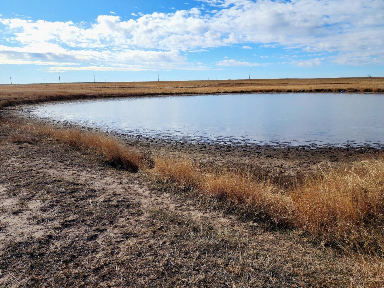 Land for Sale in Pawnee County, KS (7 of 55)