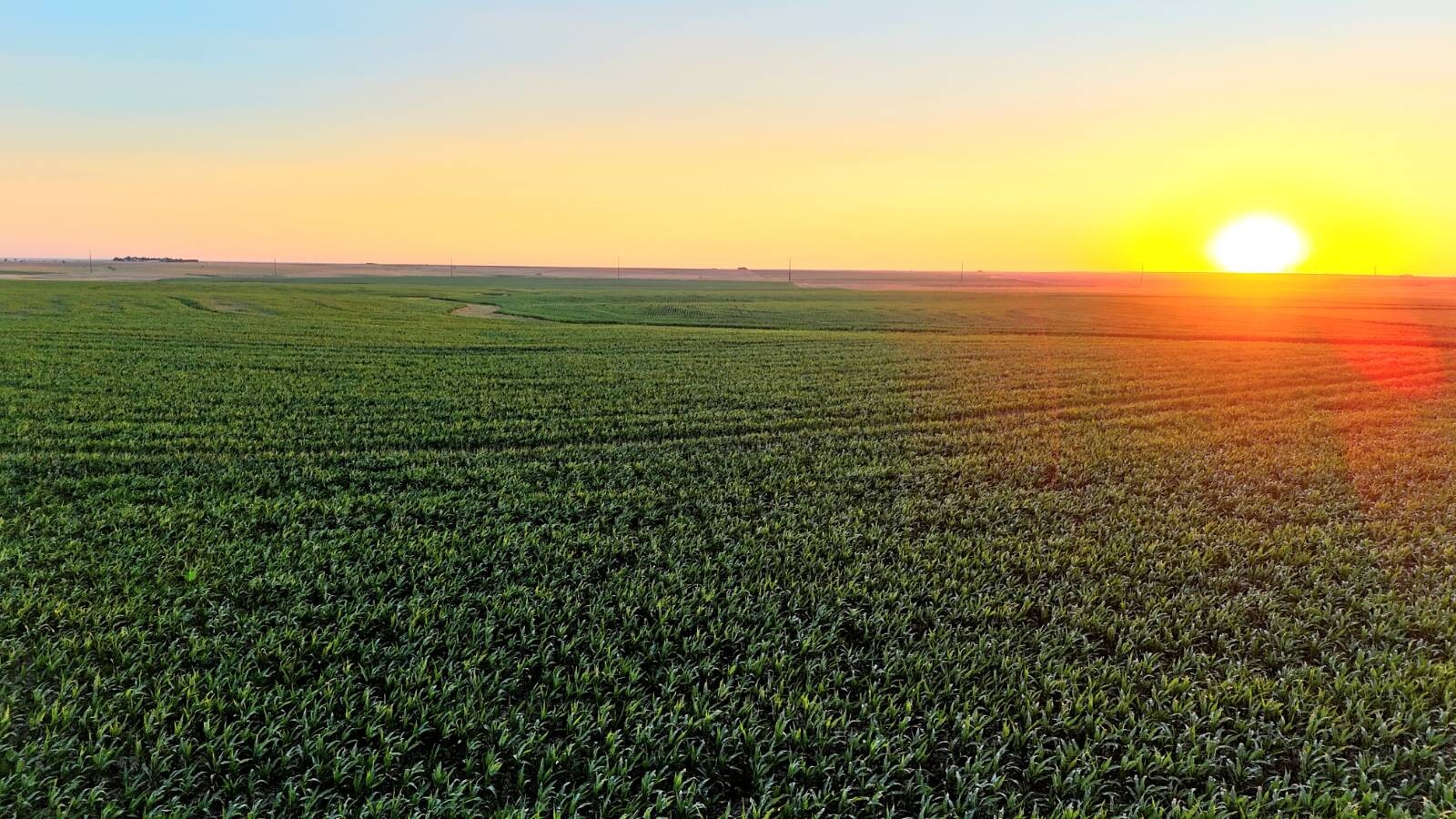 Land for Sale in Pawnee County, KS (10 of 55)