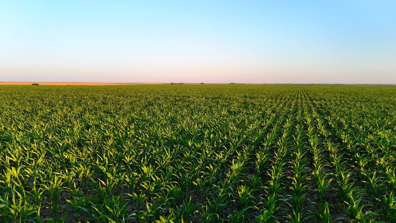Land for Sale in Pawnee County, KS (12 of 55)