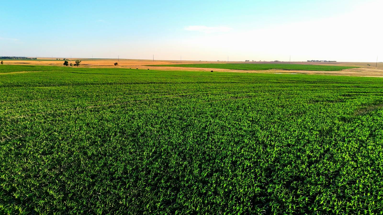 Land for Sale in Pawnee County, KS (14 of 55)