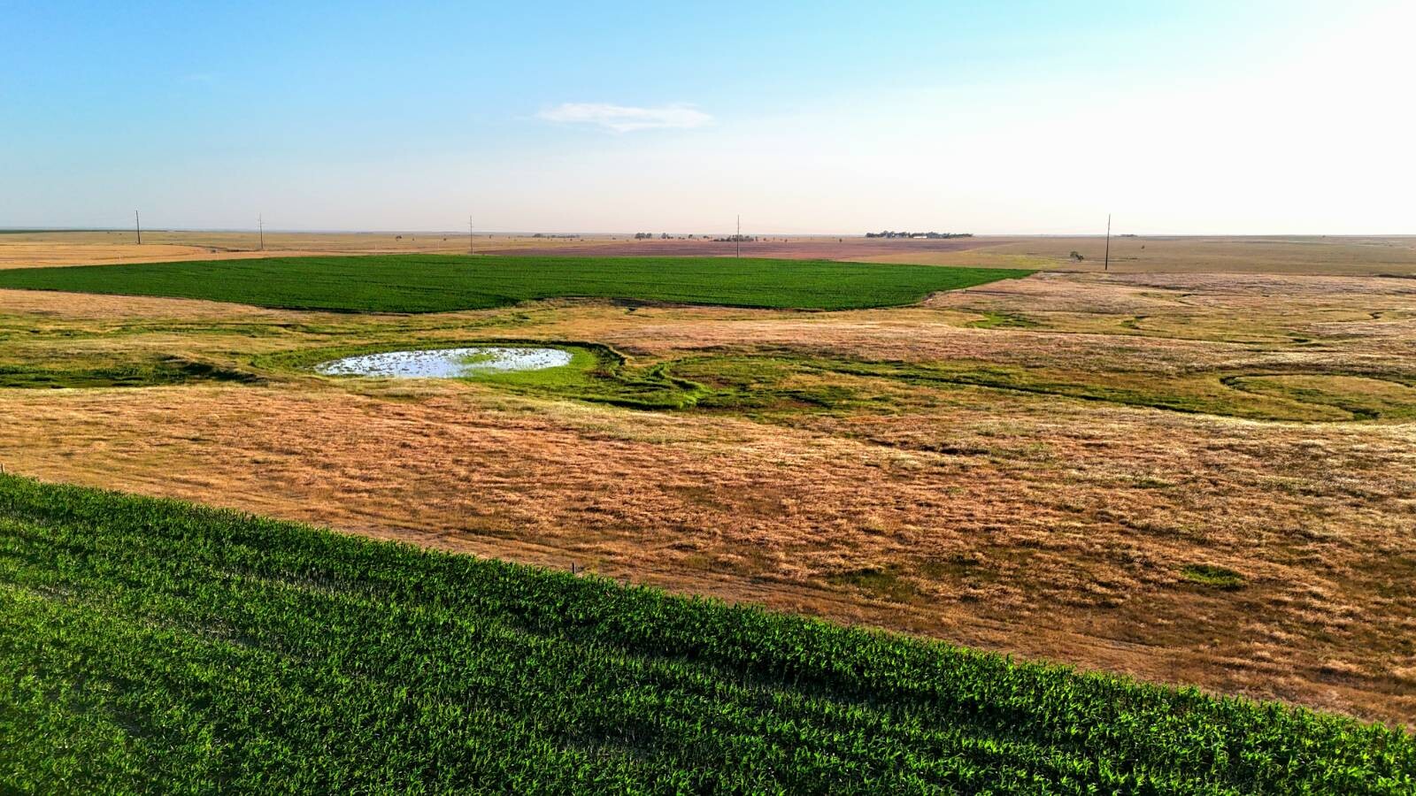 Land for Sale in Pawnee County, KS (17 of 55)