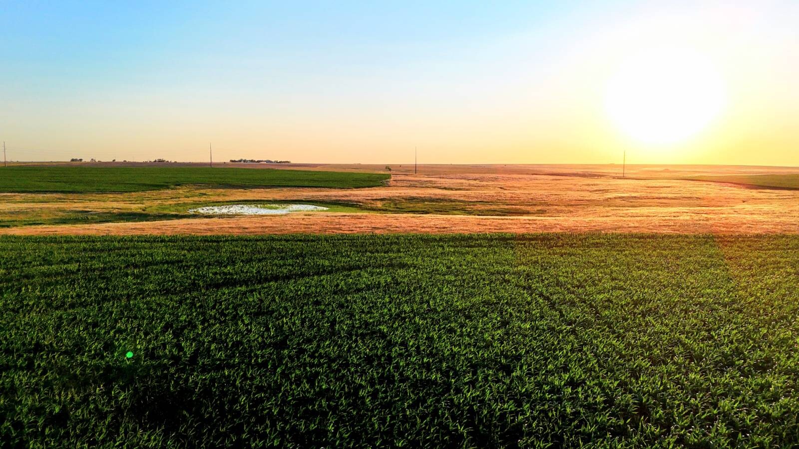 Land for Sale in Pawnee County, KS (19 of 55)