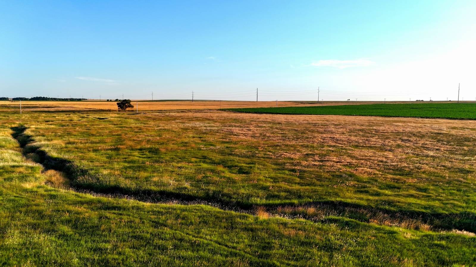 Land for Sale in Pawnee County, KS (21 of 55)