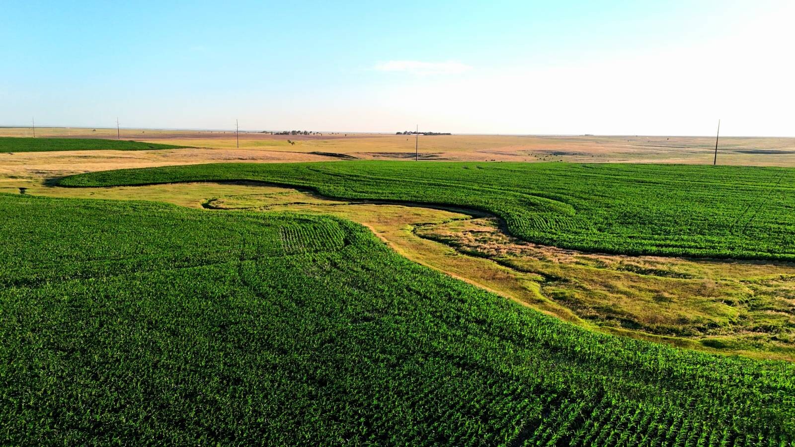 Land for Sale in Pawnee County, KS (22 of 55)