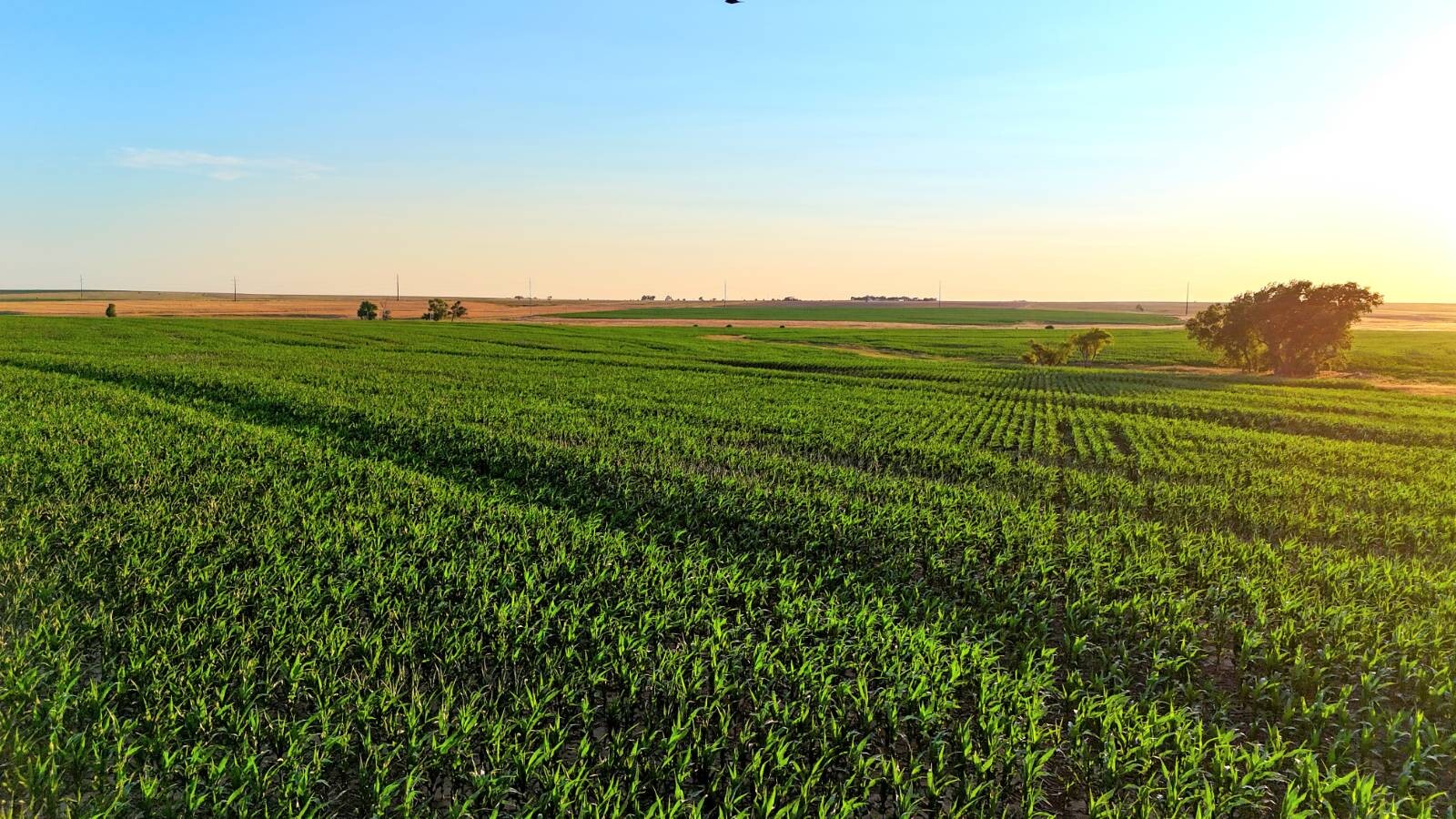 Land for Sale in Pawnee County, KS (24 of 55)
