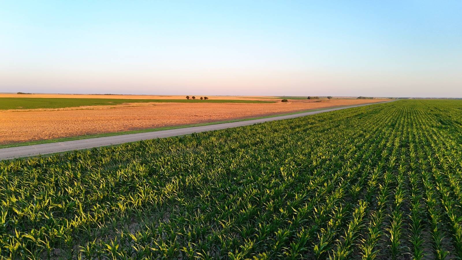 Land for Sale in Pawnee County, KS (25 of 55)