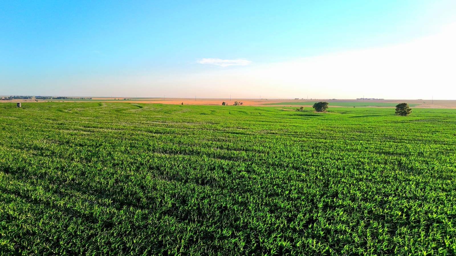 Land for Sale in Pawnee County, KS (26 of 55)