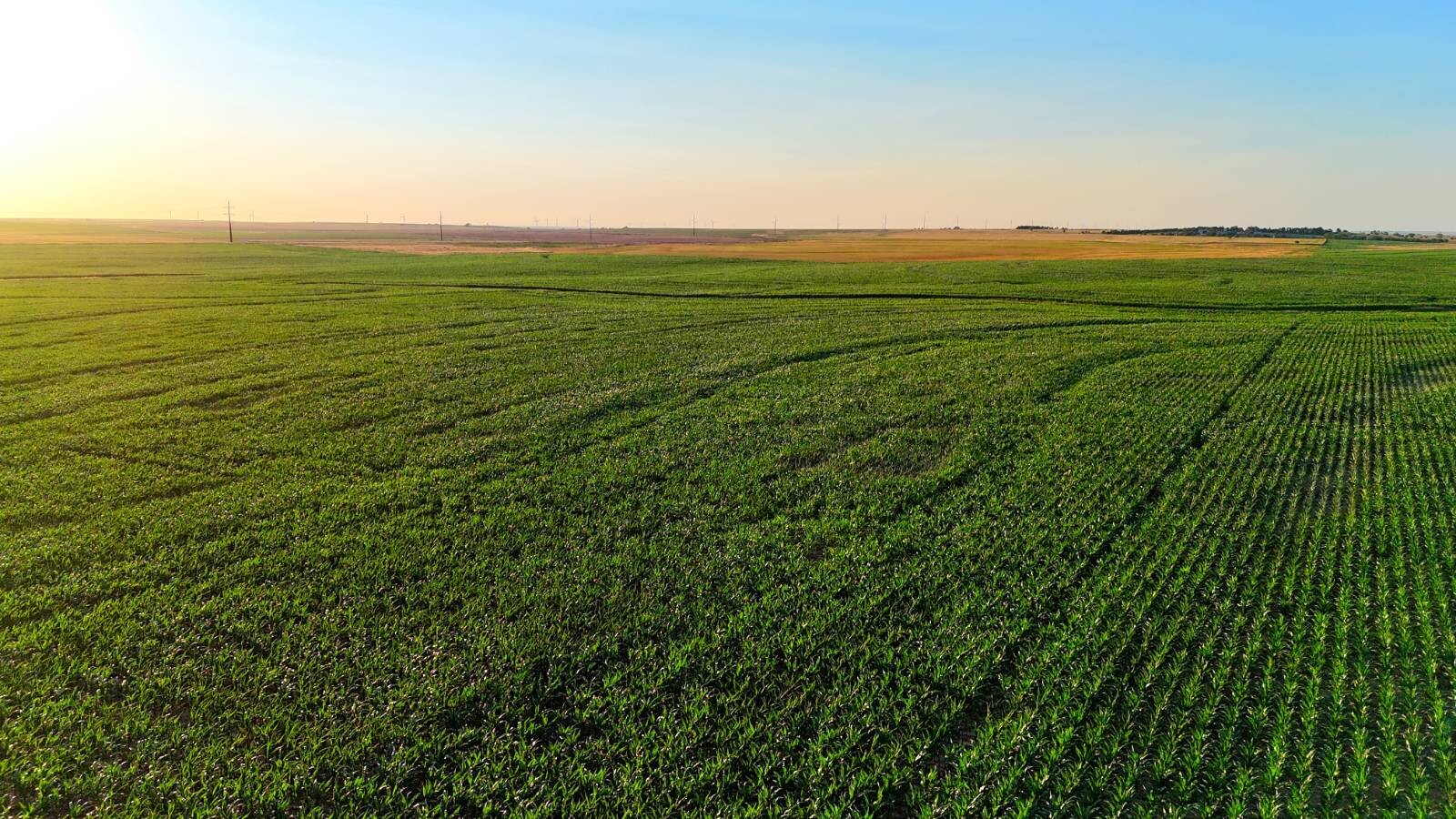 Land for Sale in Pawnee County, KS (27 of 55)