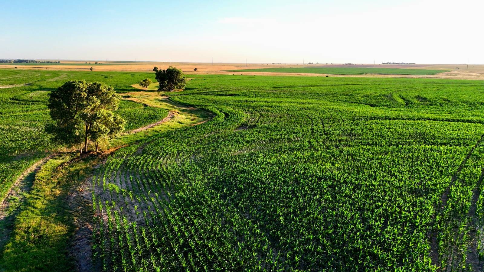 Land for Sale in Pawnee County, KS (29 of 55)