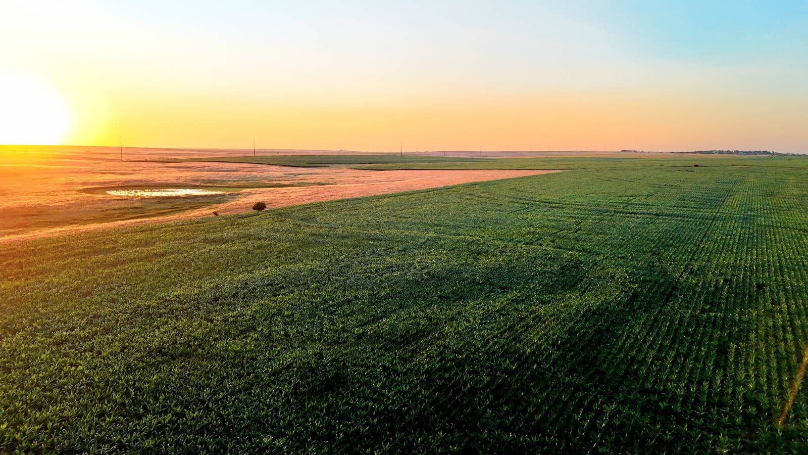 Land for Sale in Pawnee County, KS (30 of 55)