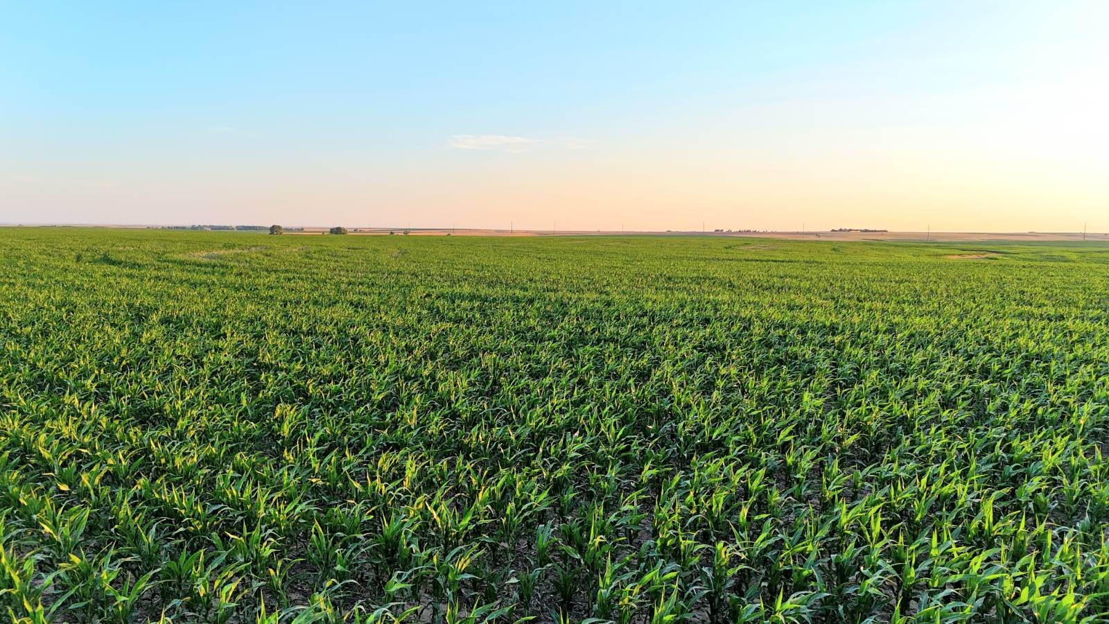 Land for Sale in Pawnee County, KS (34 of 55)