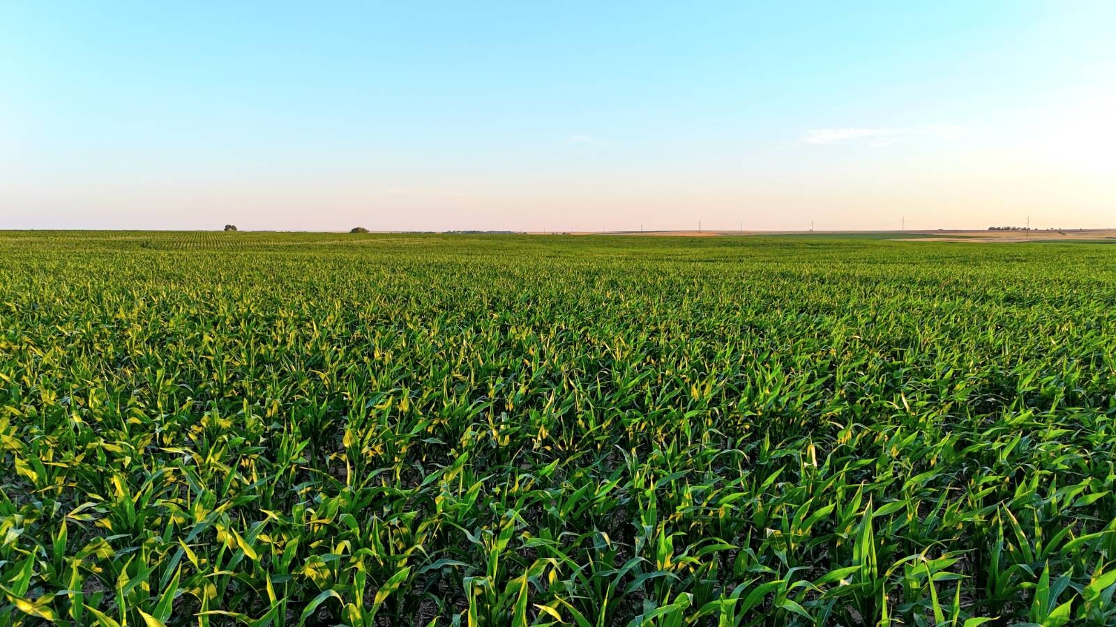 Land for Sale in Pawnee County, KS (37 of 55)