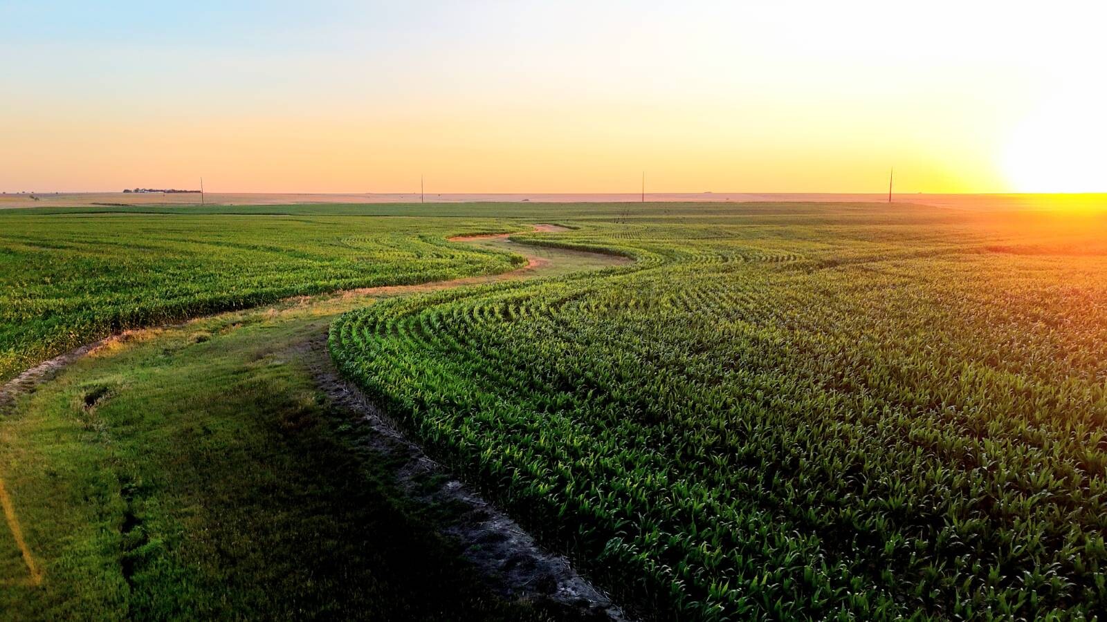 Land for Sale in Pawnee County, KS (38 of 55)