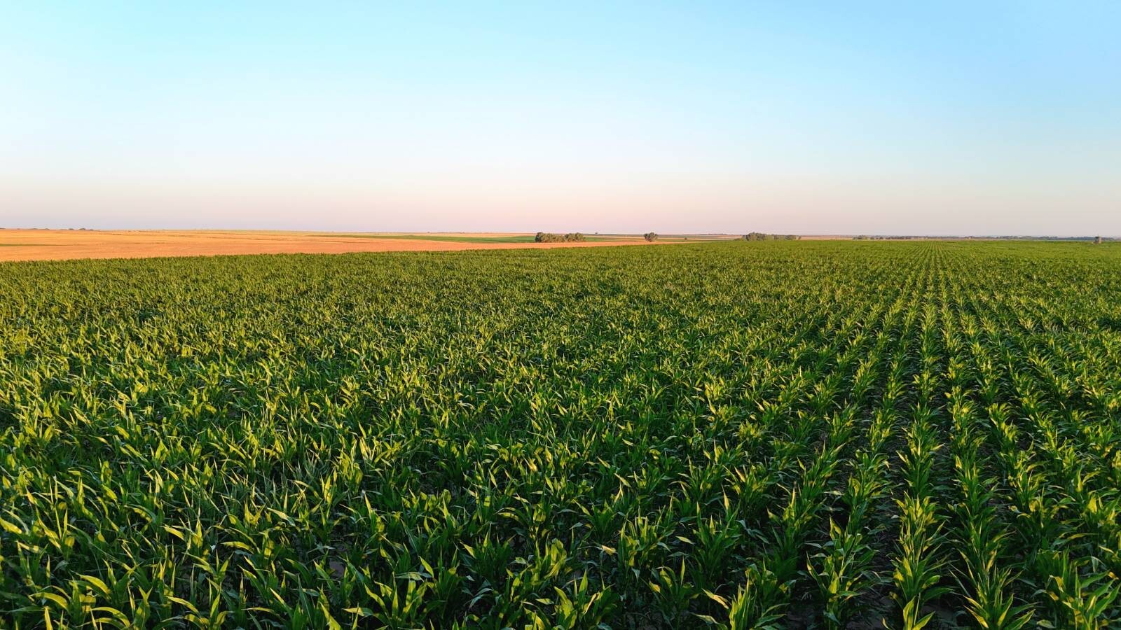 Land for Sale in Pawnee County, KS (39 of 55)
