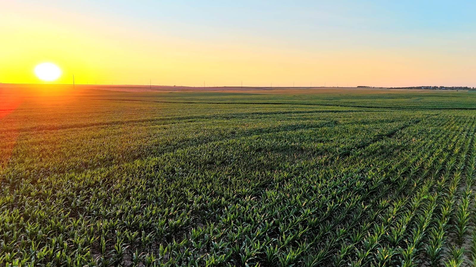 Land for Sale in Pawnee County, KS (40 of 55)
