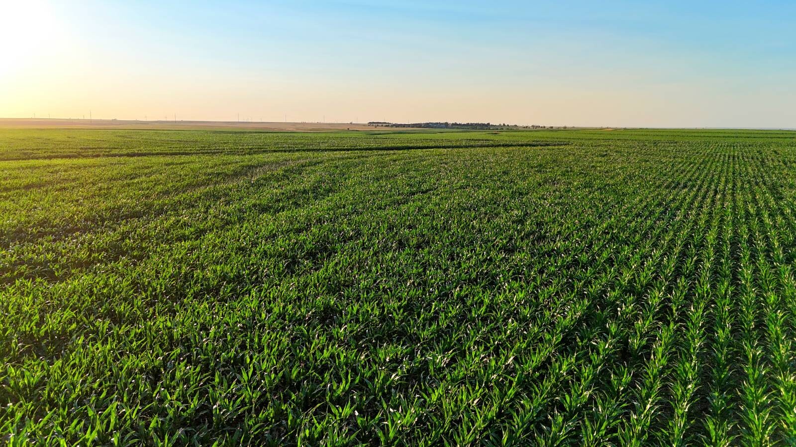 Land for Sale in Pawnee County, KS (41 of 55)