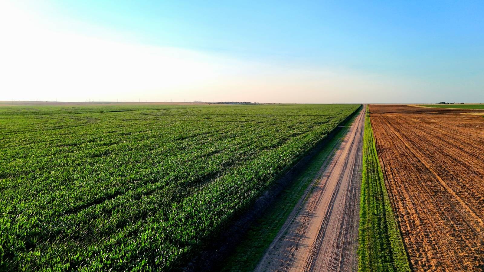 Land for Sale in Pawnee County, KS (43 of 55)