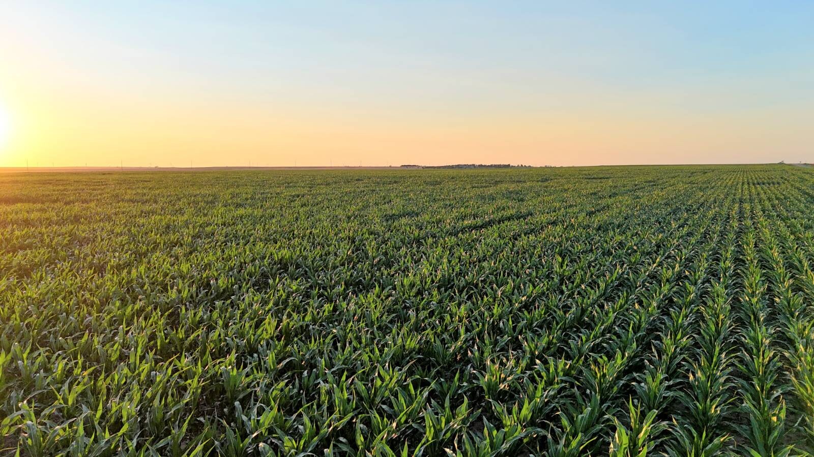 Land for Sale in Pawnee County, KS (44 of 55)