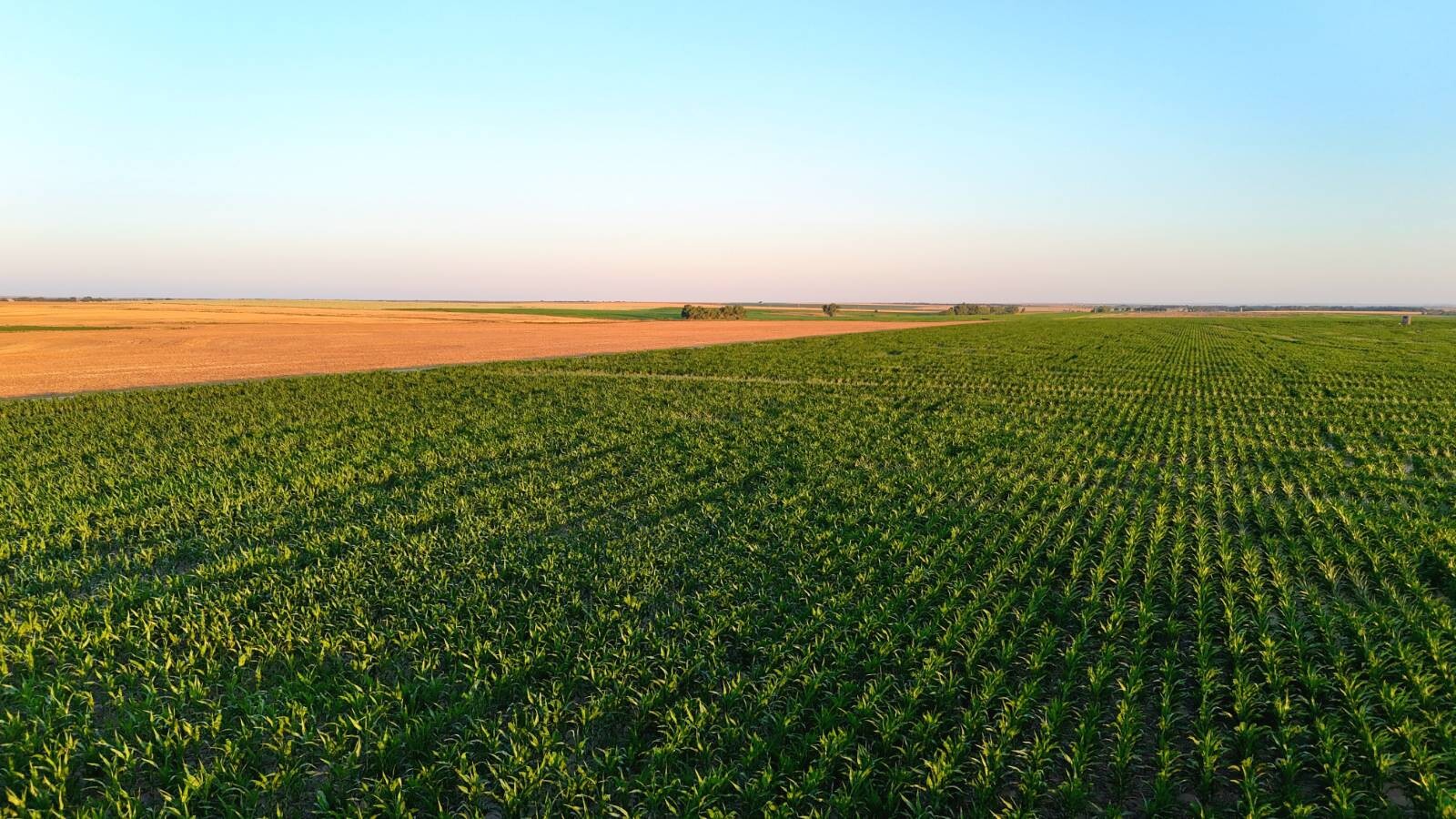 Land for Sale in Pawnee County, KS (45 of 55)
