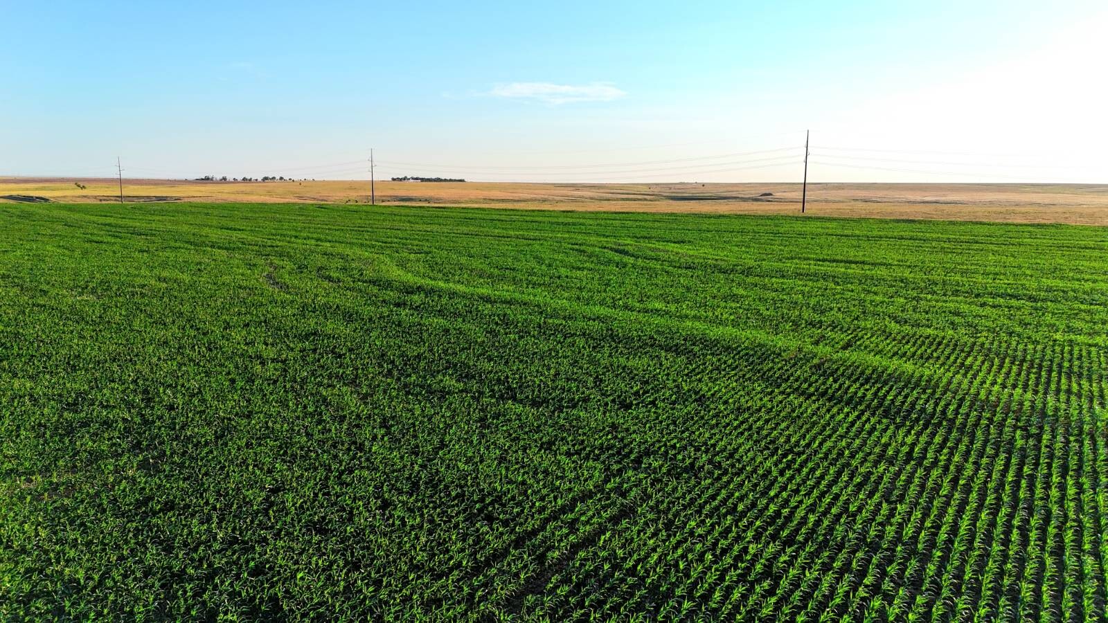 Land for Sale in Pawnee County, KS (46 of 55)