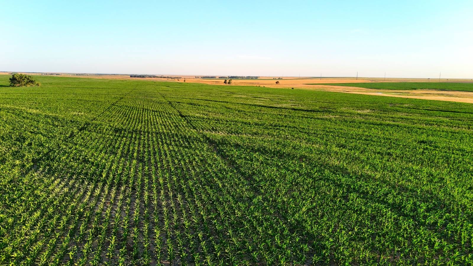 Land for Sale in Pawnee County, KS (47 of 55)