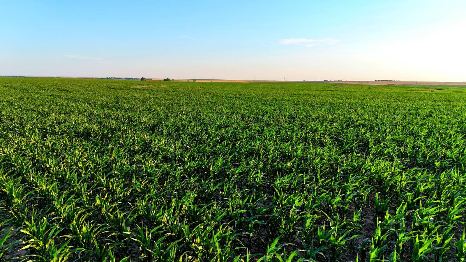 Land for Sale in Pawnee County, KS (48 of 55)