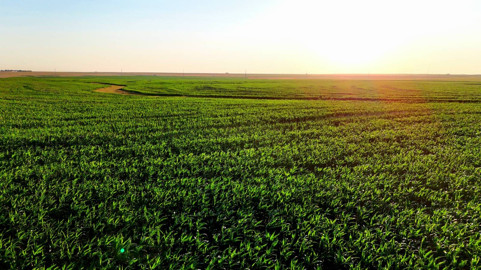 Land for Sale in Pawnee County, KS (49 of 55)