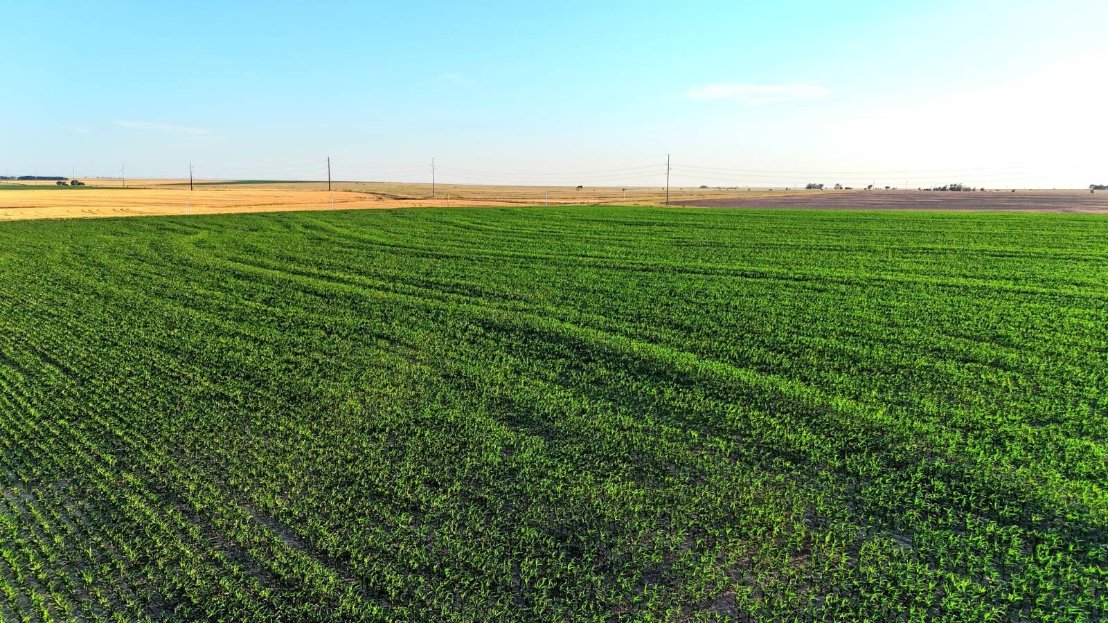 Land for Sale in Pawnee County, KS (50 of 55)