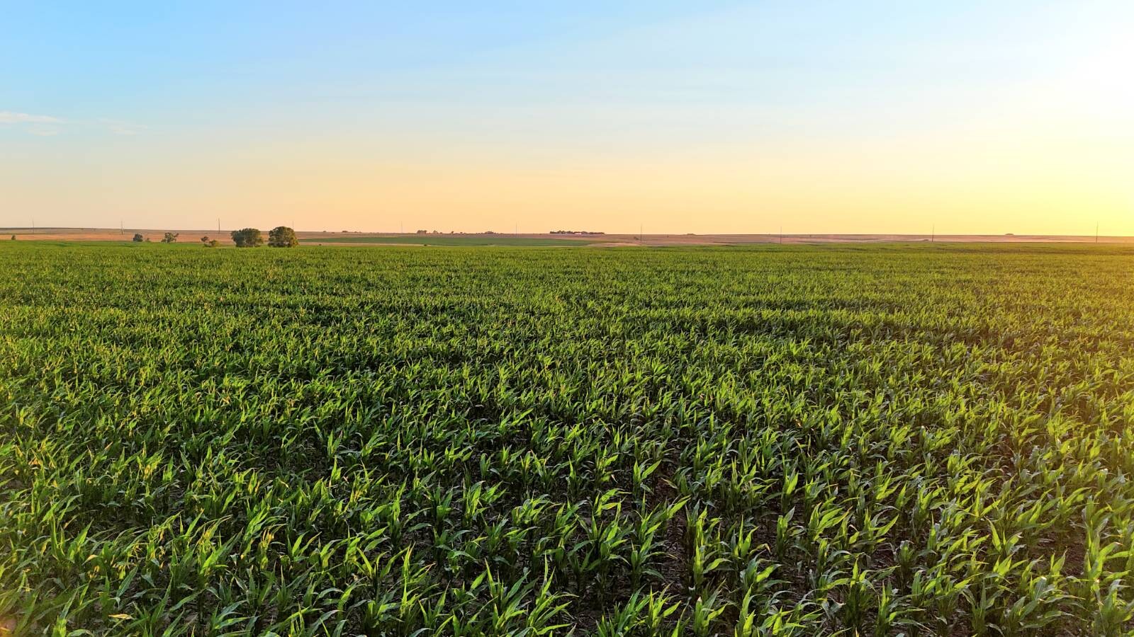 Land for Sale in Pawnee County, KS (51 of 55)