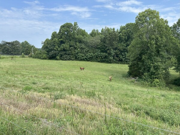 Listing image 0