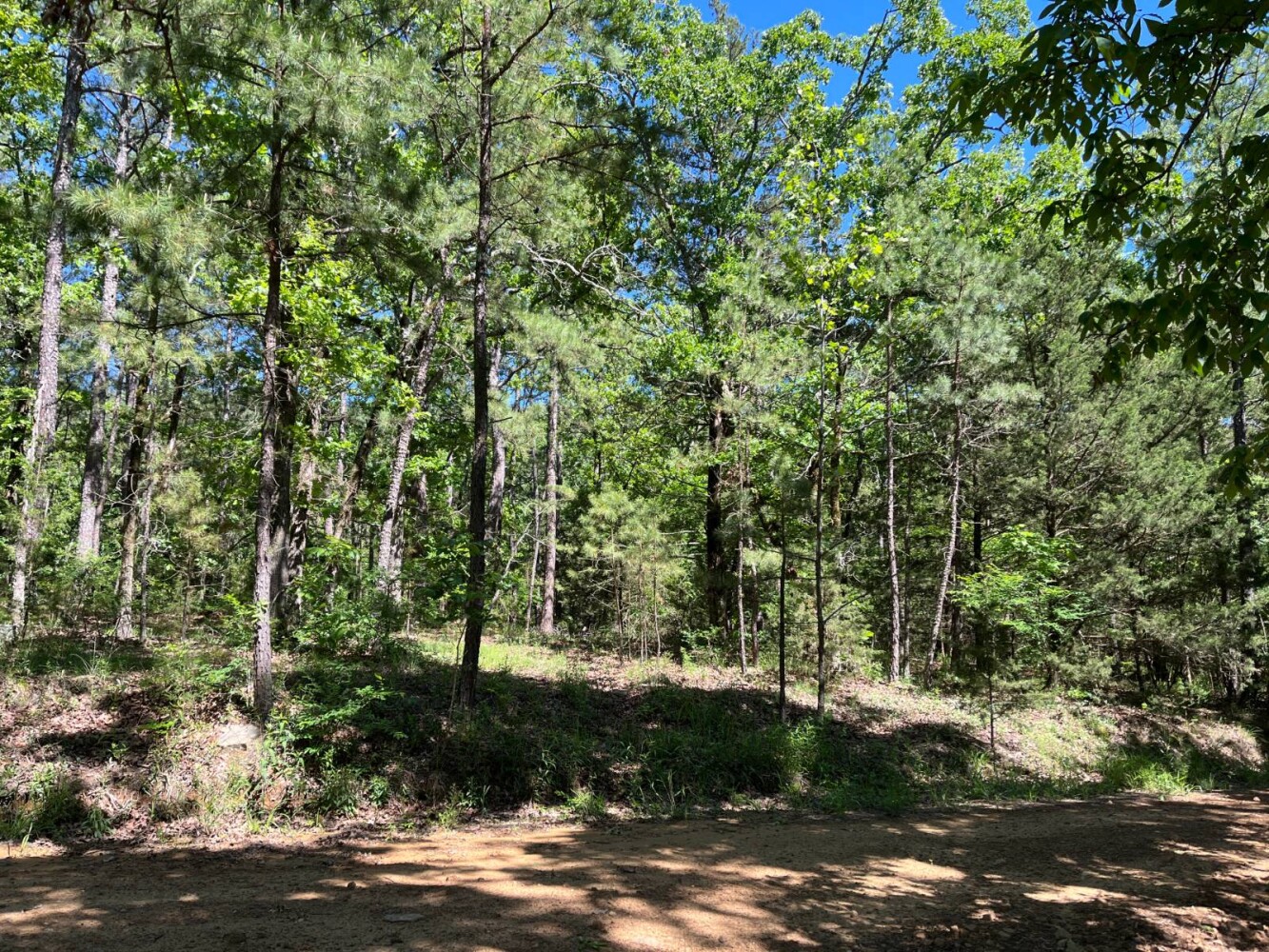 Land for Sale in Pushmataha County, OK (5 of 29)