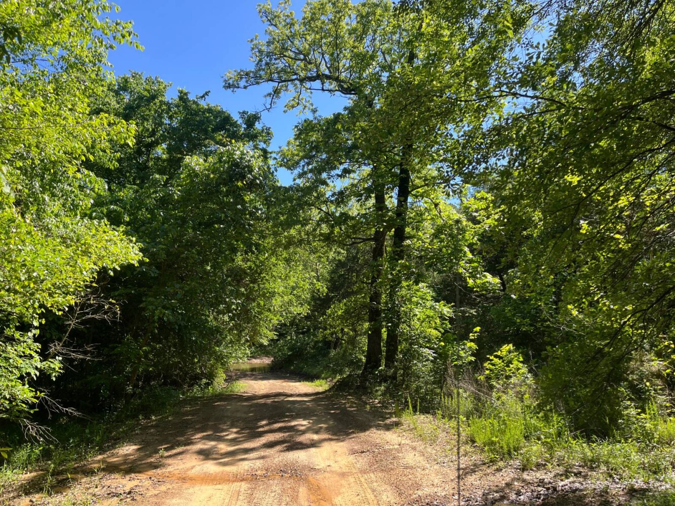 Land for Sale in Pushmataha County, OK (6 of 29)