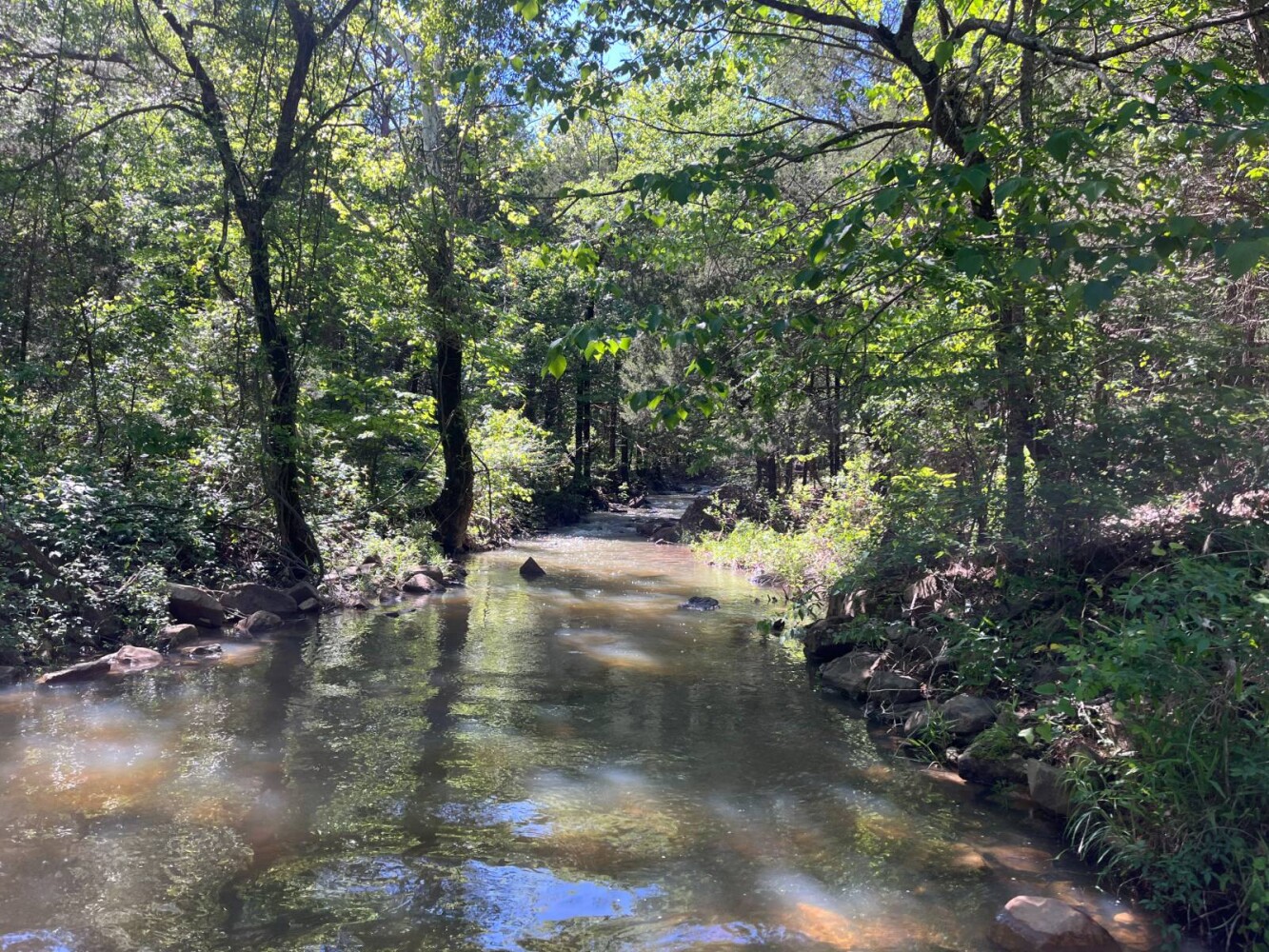 Land for Sale in Pushmataha County, OK (7 of 29)