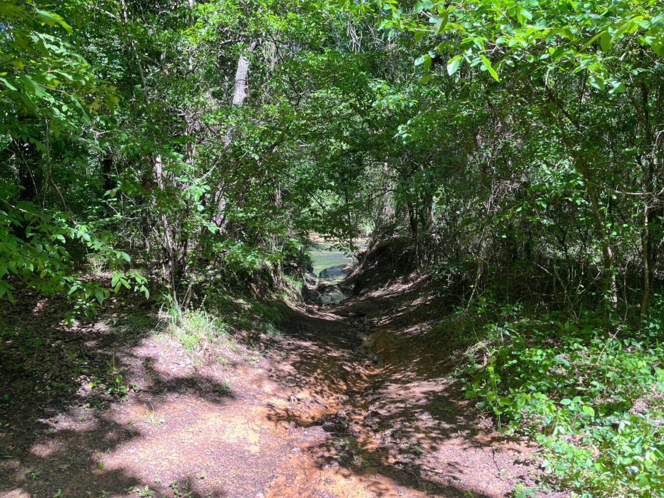 Land for Sale in Pushmataha County, OK (11 of 29)