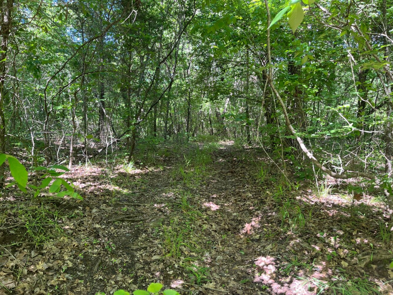 Land for Sale in Pushmataha County, OK (12 of 29)