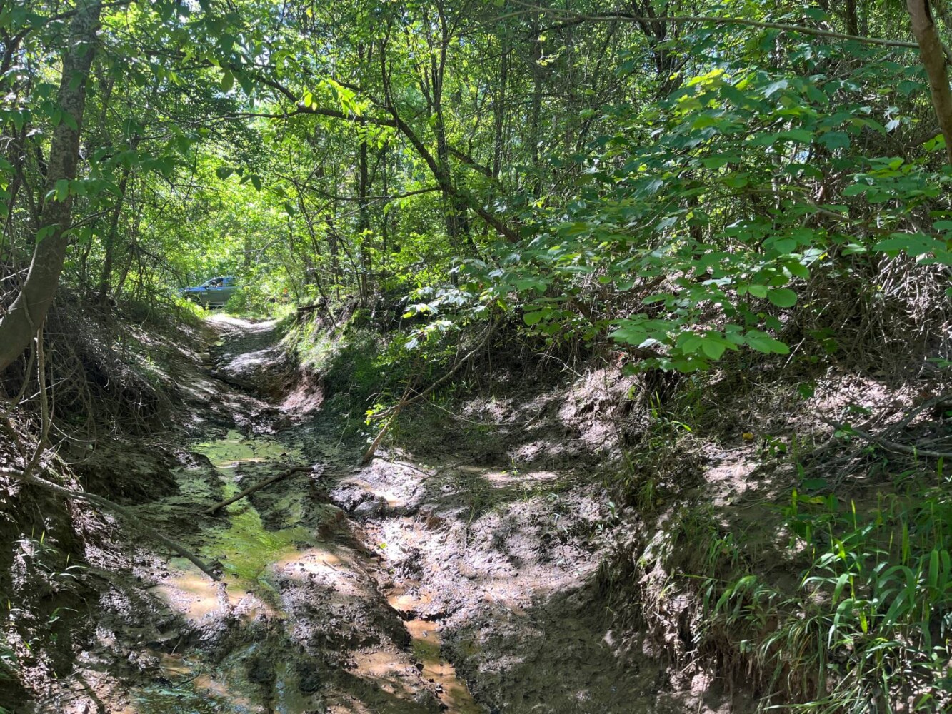 Land for Sale in Pushmataha County, OK (17 of 29)