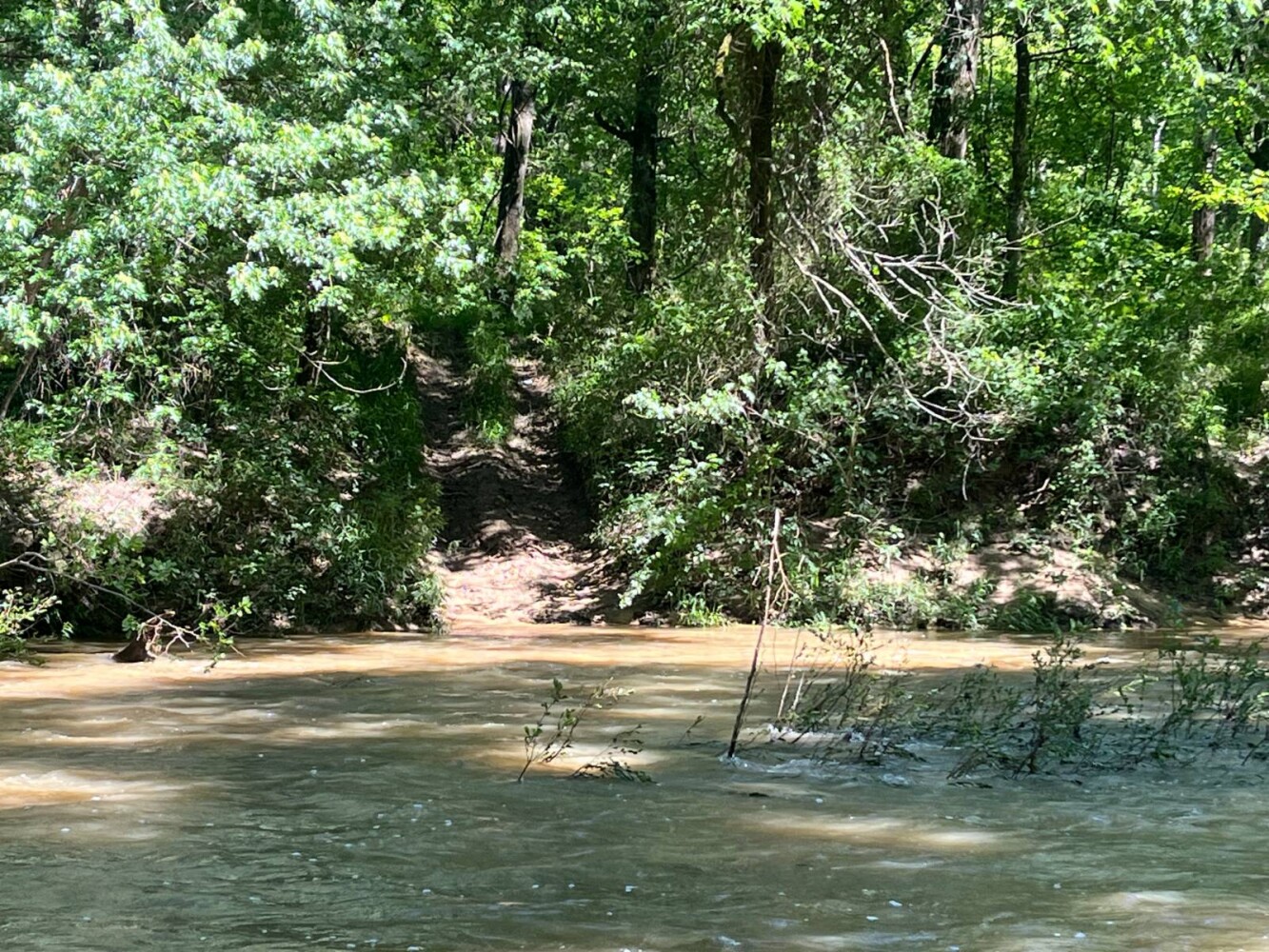 Land for Sale in Pushmataha County, OK (18 of 29)