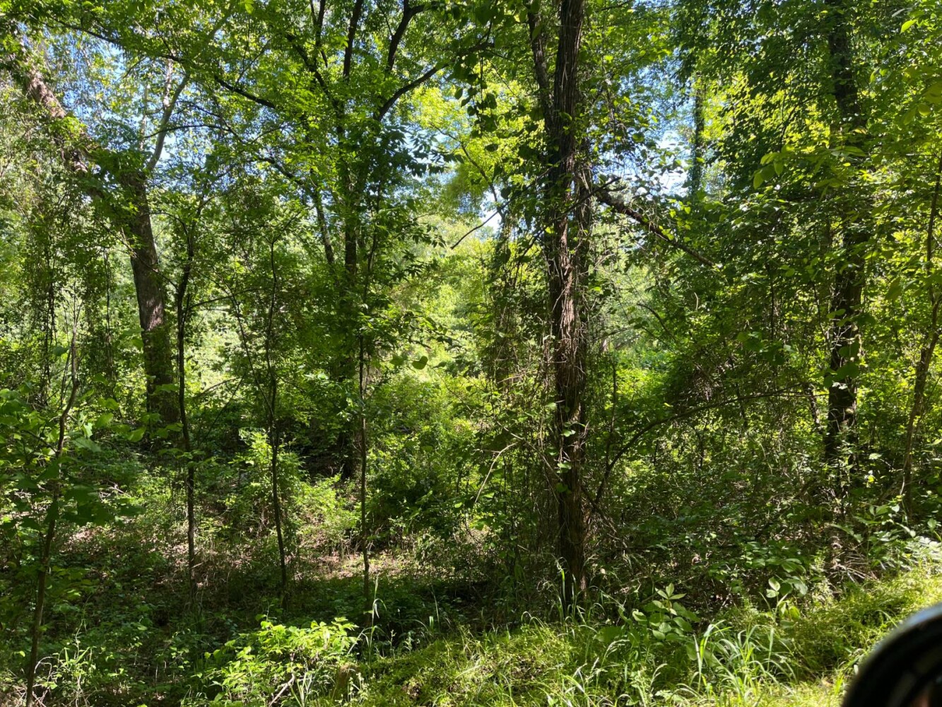 Land for Sale in Pushmataha County, OK (20 of 29)