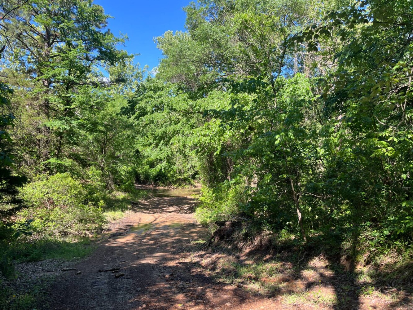 Land for Sale in Pushmataha County, OK (21 of 29)