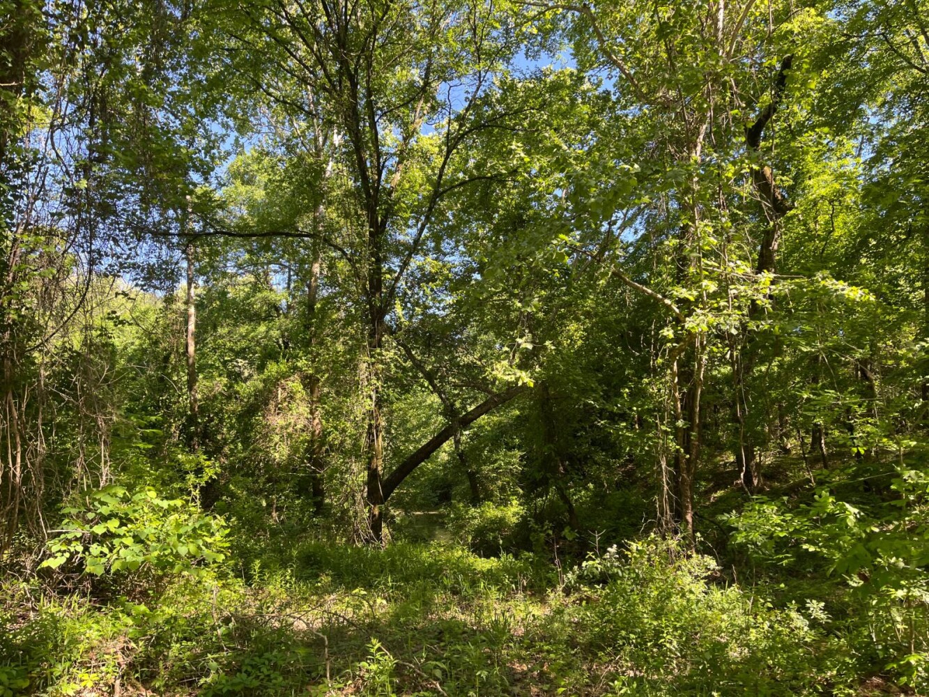 Land for Sale in Pushmataha County, OK (22 of 29)