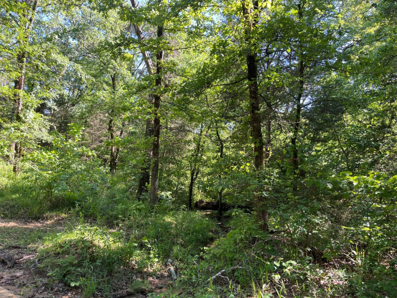 Land for Sale in Pushmataha County, OK (23 of 29)