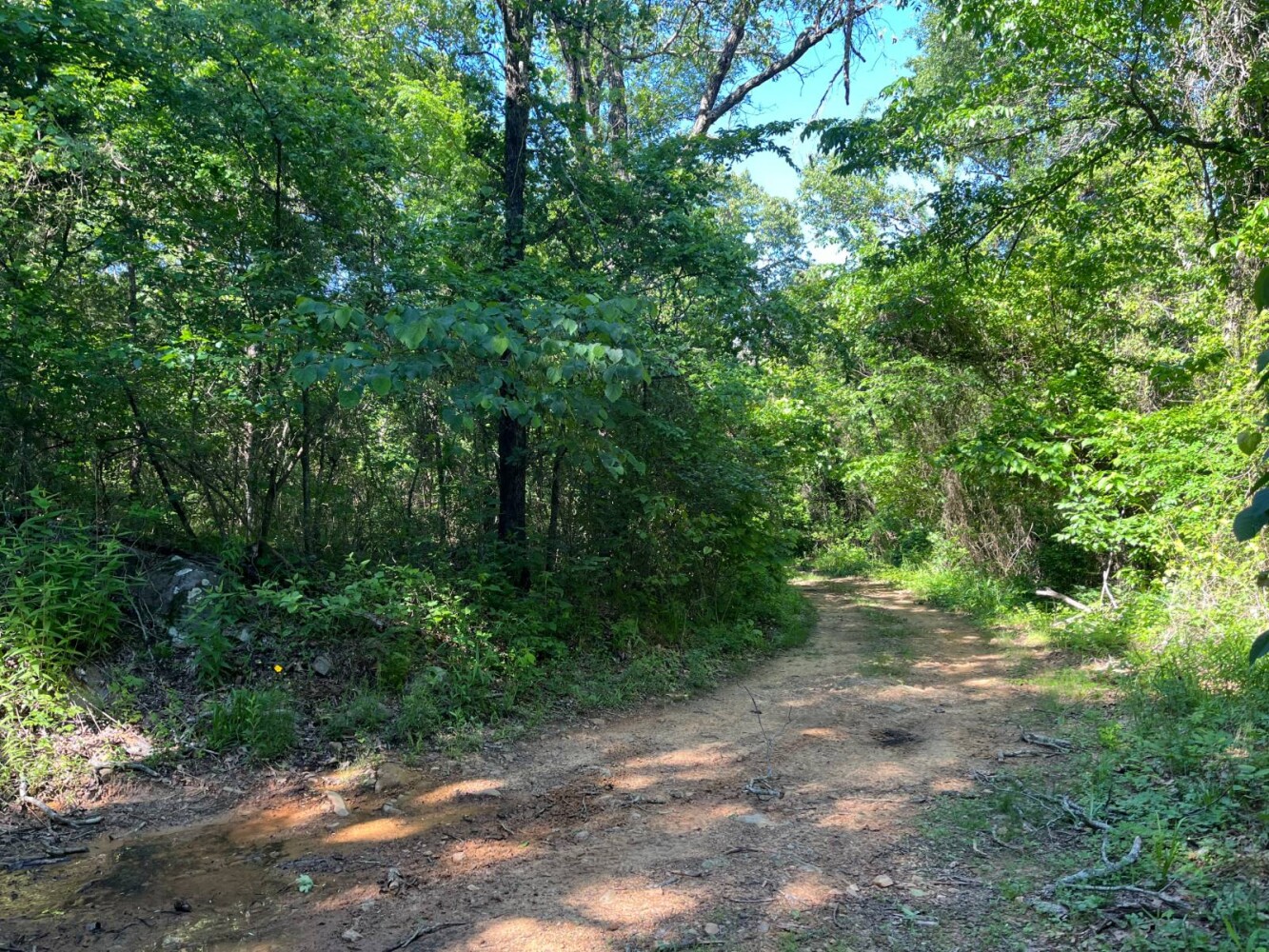 Land for Sale in Pushmataha County, OK (24 of 29)