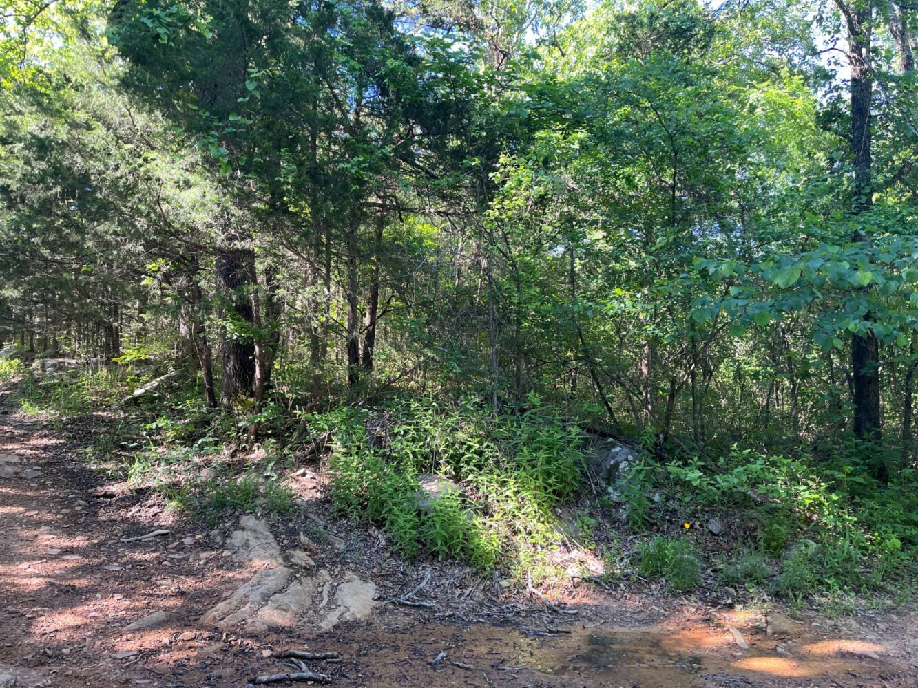 Land for Sale in Pushmataha County, OK (25 of 29)